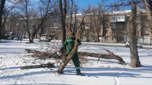 Детальніше про статтю В Одесі усунули наслідки сильних ожеледець
