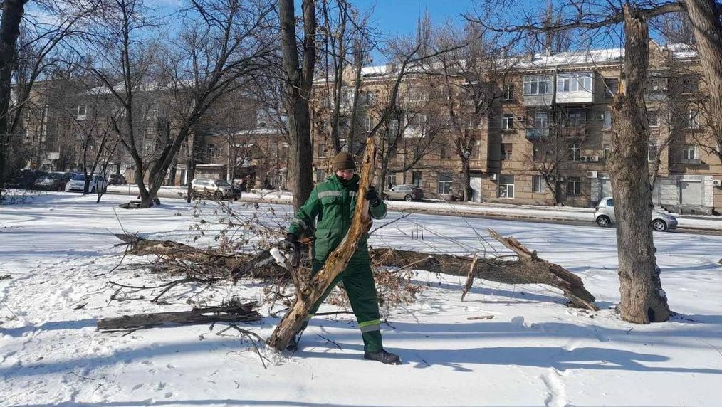 Детальніше про статтю В Одесі усунули наслідки сильних ожеледець