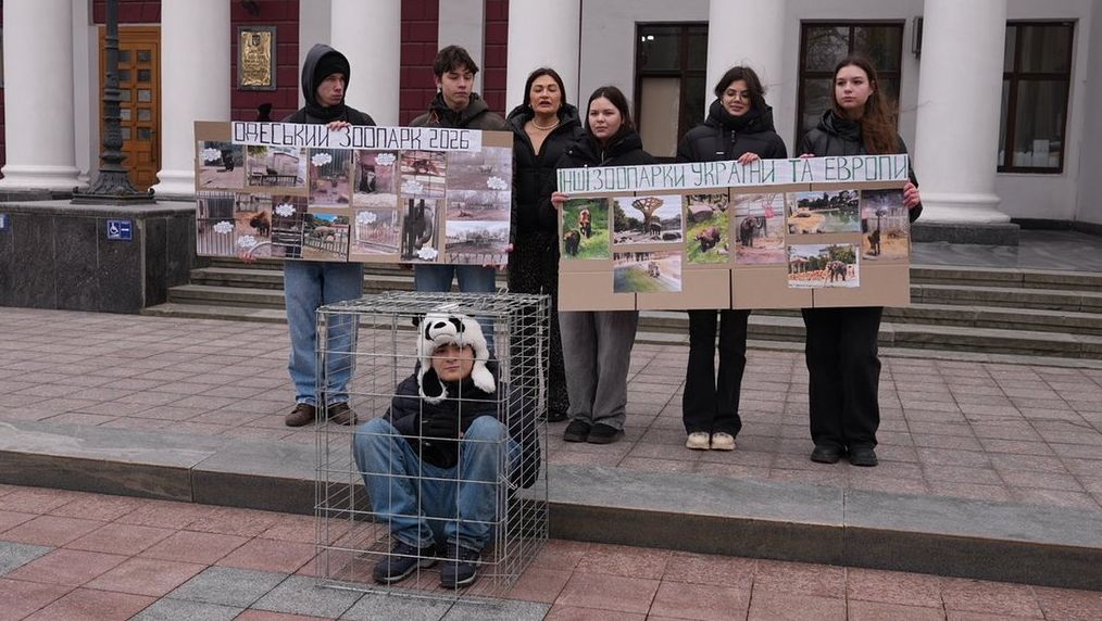 Детальніше про статтю Активісти вимагають покращення умов у зоопарку Одеси