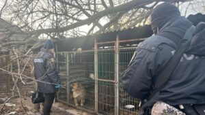 Детальніше про статтю В Одеському районі розпочали розслідування у зв’язку з порушеннями утримання тварин