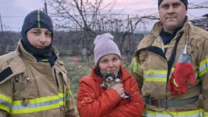 Детальніше про статтю Рятувальники витягли цуценя з ями в Подільському районі