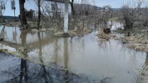 Детальніше про статтю На півночі Одещини: Ситуація з паводком та прогнози гідрологів