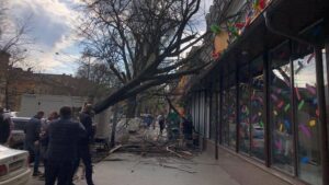 Детальніше про статтю У Одесі дерево впало на дах магазину та пошкодило автомобіль