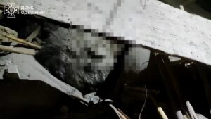 Детальніше про статтю Обвал даху в Білгород-Дністровському: рятування постраждалих
