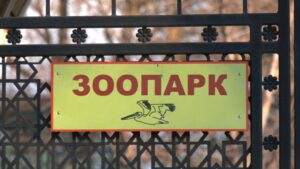 Детальніше про статтю Збереження Одеського зоопарку: петиція набрала підписи