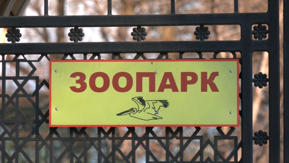 Детальніше про статтю Збереження Одеського зоопарку: петиція набрала підписи