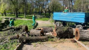 Детальніше про статтю В Одесі через штормовий вітер повалило 85 дерев