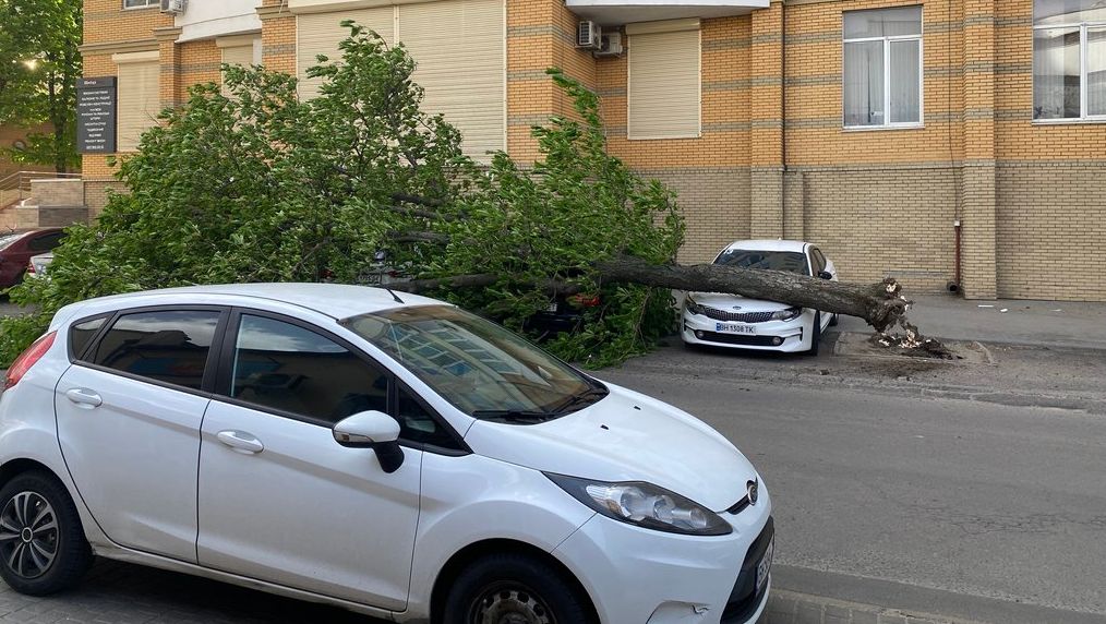 Детальніше про статтю Негода в Одесі: повалені дерева, пилова буря та відключення світла