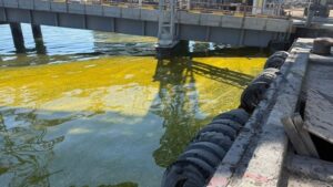 Детальніше про статтю У Чорноморську після нічної атаки прибирають розлив соняшникової олії в акваторії порту